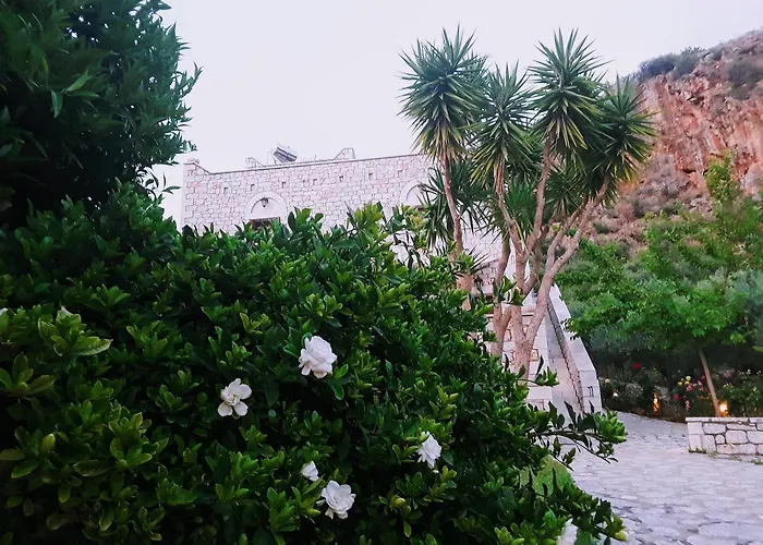 Foivos 2 2* ギシオ